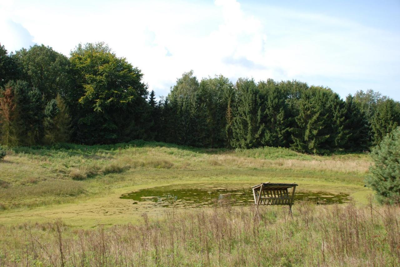 Вилла Charmant Chalet Op Een Bospark Op De Veluwe Пюттен Экстерьер фото